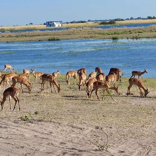 listing-details-carousel