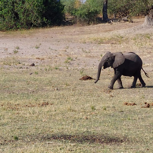 listing-details-carousel