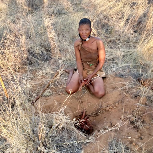 listing-details-carousel