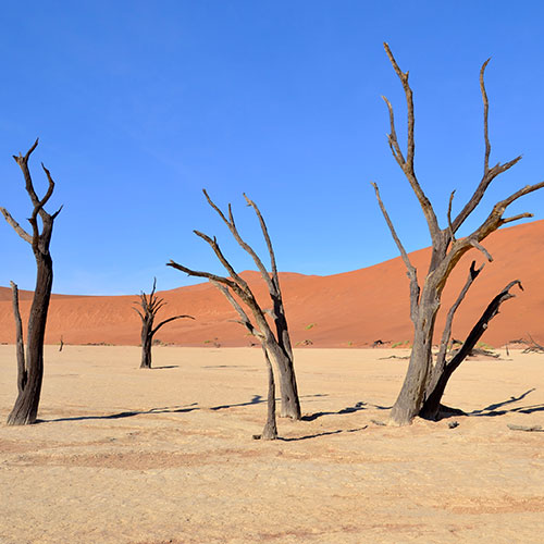 listing-details-carousel