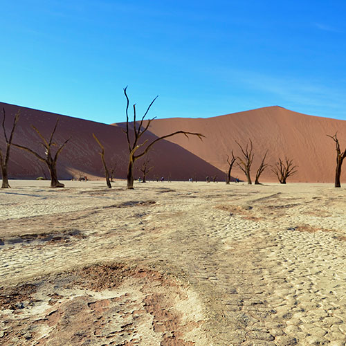 listing-details-carousel