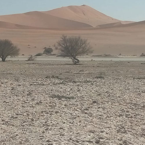 listing-details-carousel