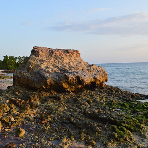 listing-details-carousel