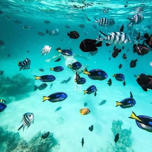 listing-details-carousel